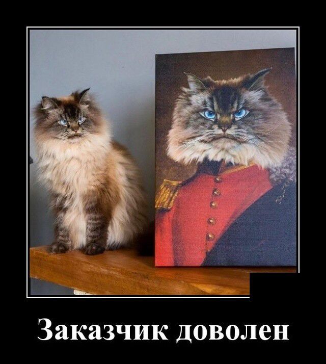 а __ Заказчик ДОВОЛВН