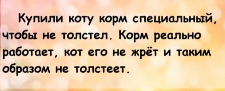 Купили коту корм специальный чтобы не толстел Корм реально работает кот его не жрёт и таким образом не толстеет