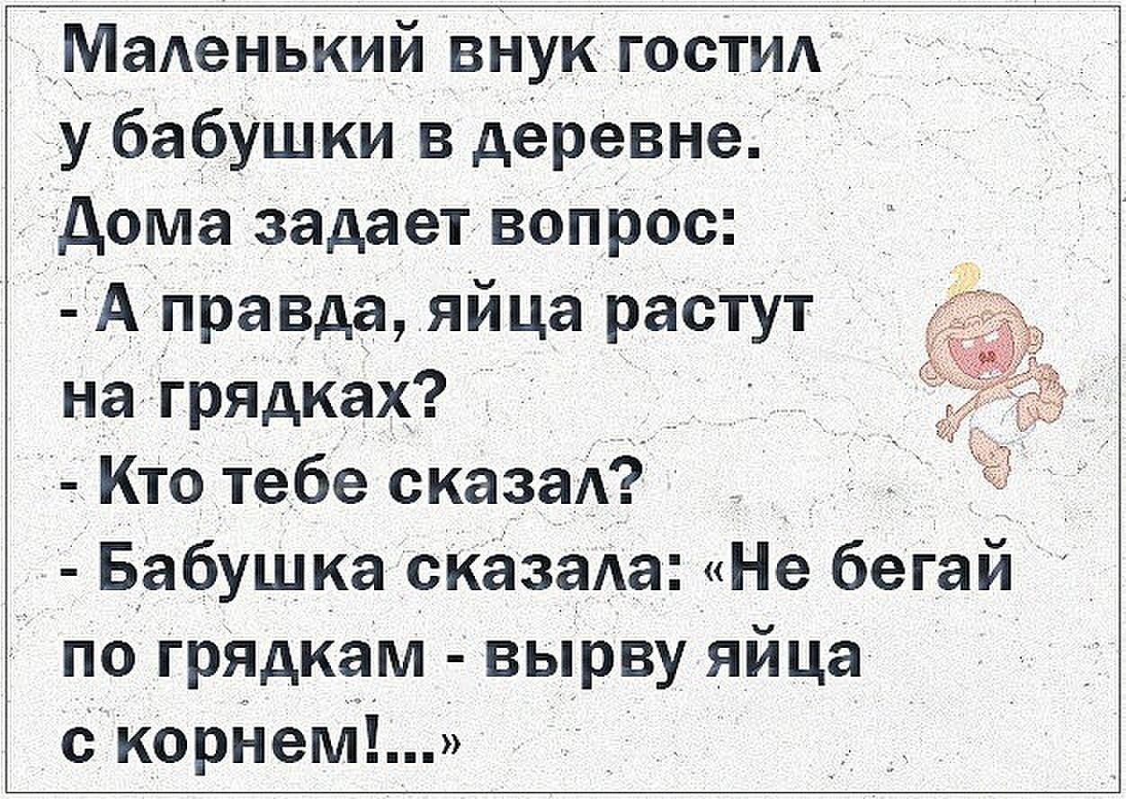 Маленький внук тот у бабушки в деревне дома задает вопрос А правда яйца  растут на грядках Кто тебе сказал Бабушка сказада Не бегай по грядкам вырву  яйца с корнем - выпуск №1685019