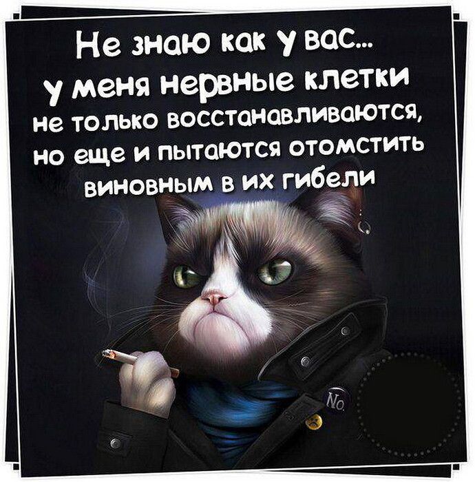 Не знаю как у вас у меня нервные клетки не только восстоновлишются но еще и пытаются отомстить виновным в их гибели