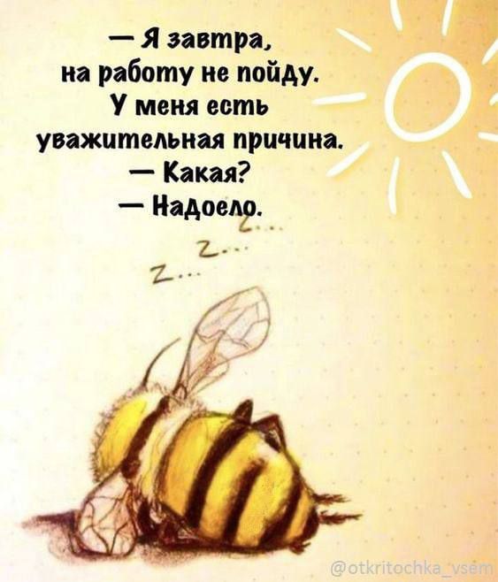 я завтра на работу не пойду У меня есть уижитмьиц причин Какая Надоел 1