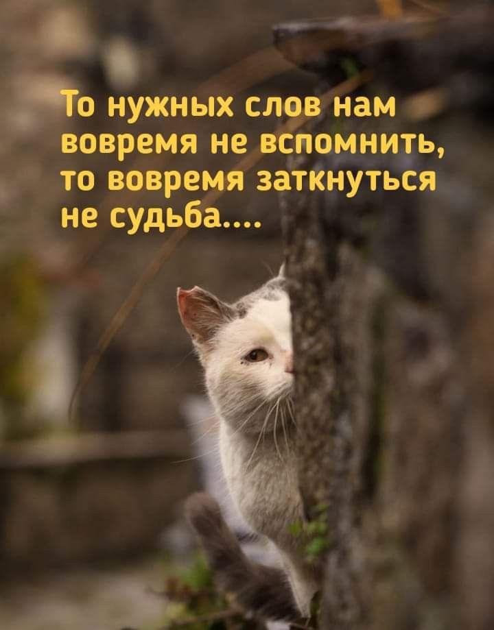 1 ___ О НУЖНЫХ СЛОВ нам вовремя не ПОМНИЭЬ то вовремя заткнуться не судьба 1