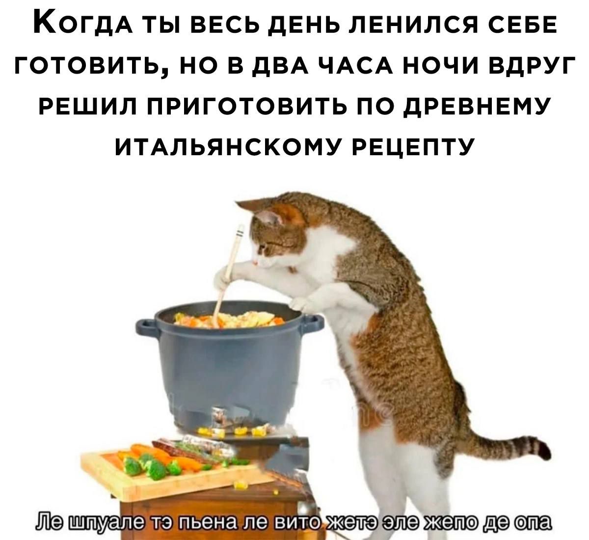 КОГДА ТЫ ВЕСЬ дЕНЬ ПЕНИЛСЯ СЕБЕ ГОТОВИТЬ НО В ПВА ЧАСА НОЧИ ВДРУГ РЕШИЛ ПРИГОТОВИТЬ ПО дРЕВНЕМУ ИТАЛЬЯНСКОМУ РЕЦЕПТУ