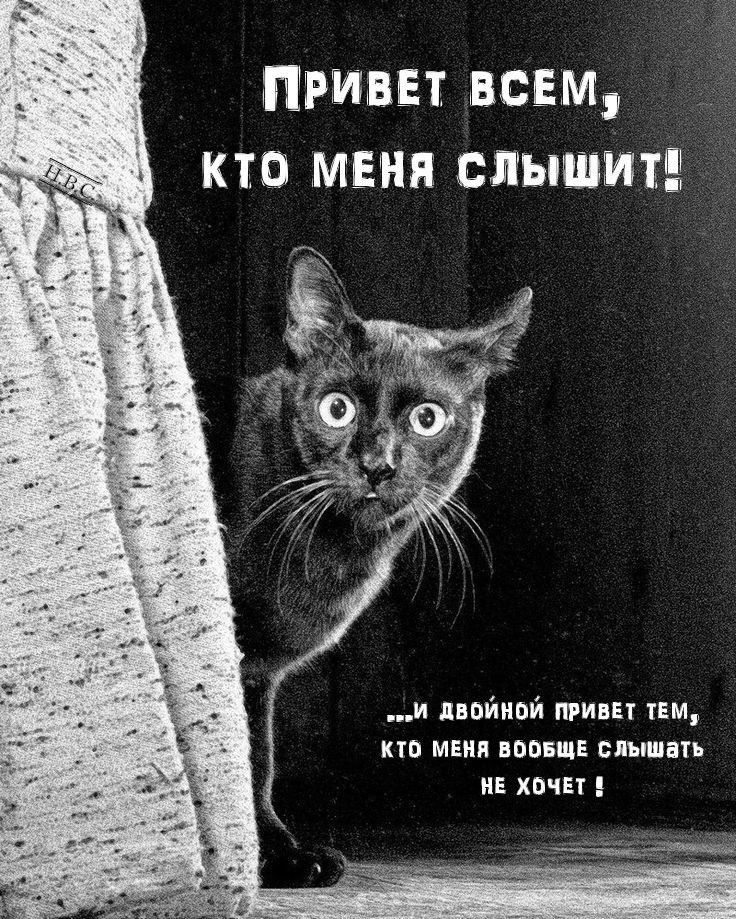 тиви всем кто меня слышит и двойной приш тім ПП МЕ ППБЦЕ БПЫШПТЪ ив хпчвп