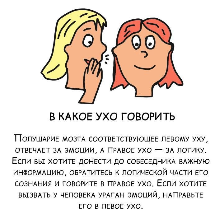 т В КАКОЕ УХО ГОВОРИТЬ ПОПУШАРИЕ мозгА соответствующее левому уху ОТВЕЧАЕТ эА эмоции А ПРАВОЕ уха зА логику Если вы хотите донести до собеседним ВАЖНУЮ ИНФОРМАЦИЮ ОБРАТИТЕСЬ логический чАсти его СОЗНАНИЯ и говотте в ПРАвое ухо Если хотите вызвпь у ЧЕЛОВЕКА уРАГАн эмоций НАПРАвьте его в левое ухо