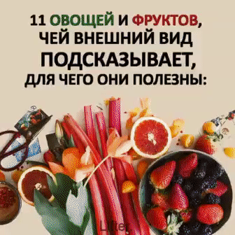 11 овощей и фруктов чви внешний вид ПОдСКАЗЫВАЕТ для чего они полвны