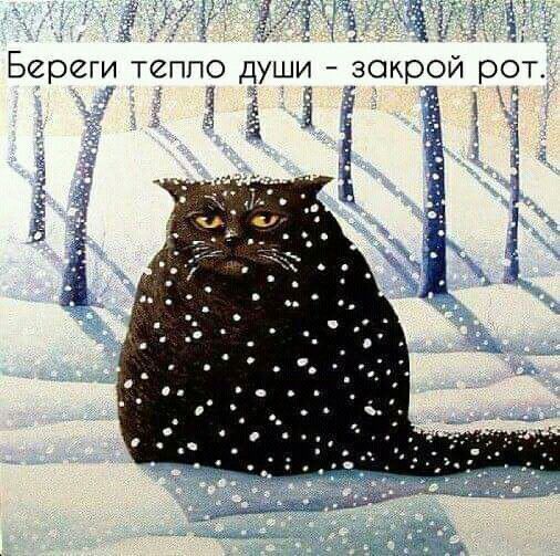 Береги теппо души закрой рот ООО ч 1 3 й
