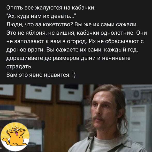 Опять все жалуются на кабачки Ах куда нам их девать Люди что за кокетство Вы же их сами сажали это не яблоня не вишня кабачки однолетние Они не аапопааюг к вам в огород Их не сбрасывают дроиов враги Вы сажаете ик сами каждый год доращиваете до размеров дыни и начинаете страдать Вам это явно нравится