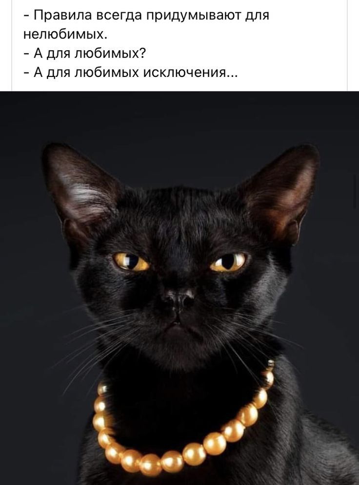 7 Правила всегда придумывают для нелюбимЫХ А для Любимых А для любимых исключения