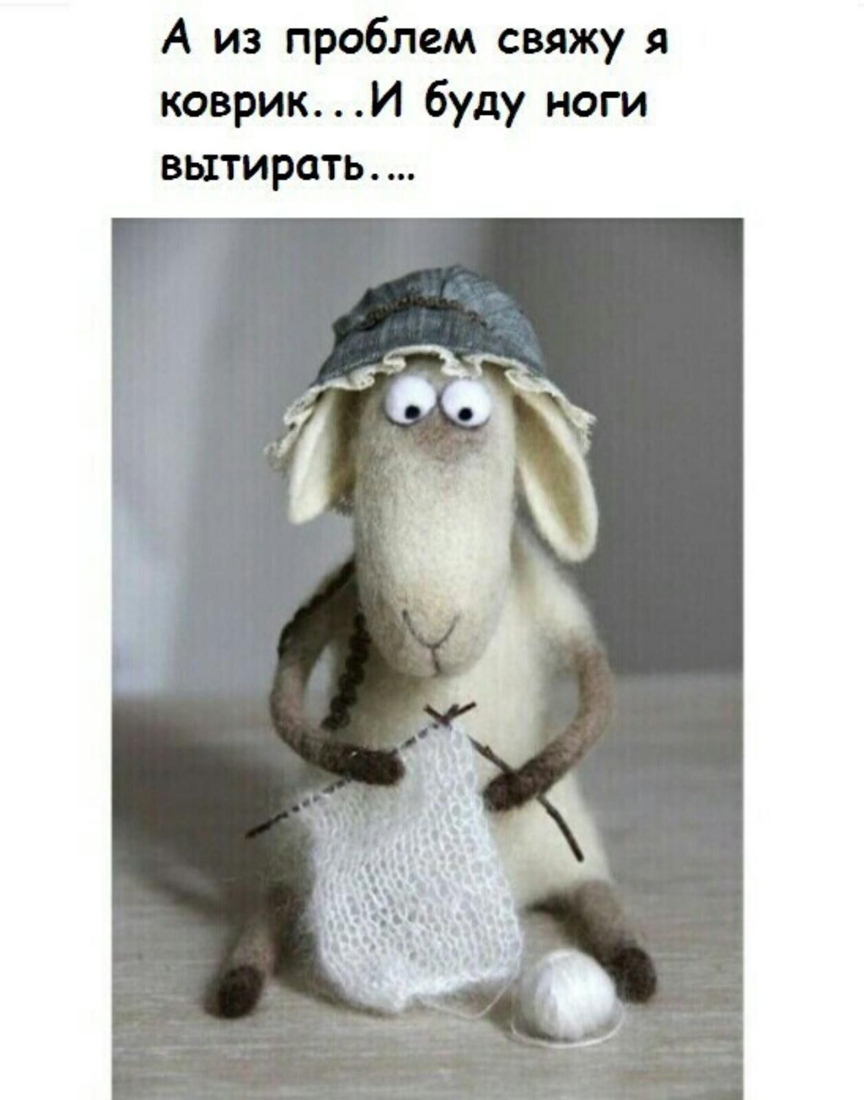 А из проблем свяжу я коврикИ буду ноги нитраты