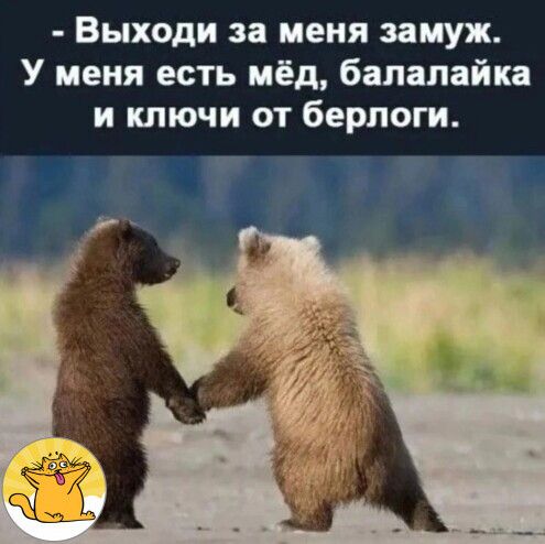 Выходи за меня замуж У меня есть мёд балалайка и ключи от берлоги