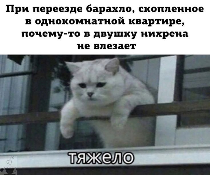 При переезде барахло скоппеииое В однокомнатной КВЕРТИРЕ почему то в двушку нихрена не влезает _ гяэкешр