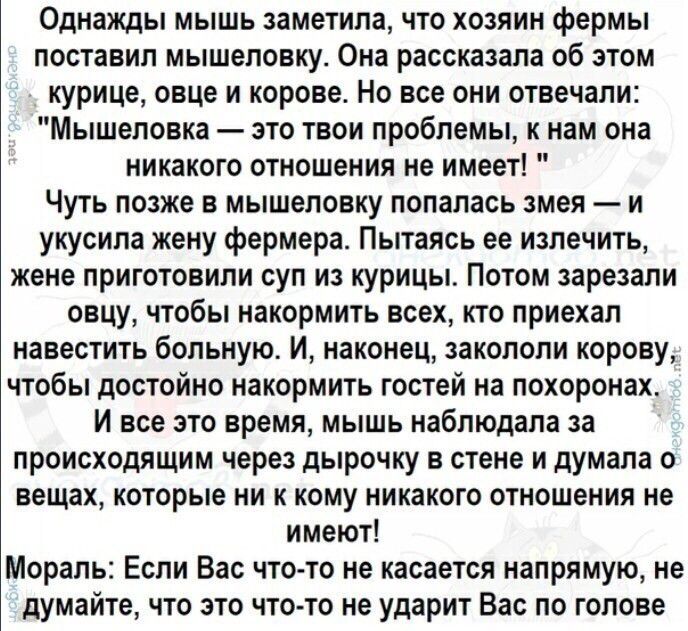 Однажды мышь заметила что хозяин фермы поставил мышеловку Она расскацала об этом курице еще и корове Но все они отвечали Мышеловка зто твои проблемы к нам она никакого отношения не имеет Чуть позже в мьпшеповку попалась змея и укусила жену фермера Пытаясь ее излечить жене приготовили суп из курицы Потом зарезали овцу чтобы накормить всех кгс приехал навестить больную И наконец акополи корову чтобы