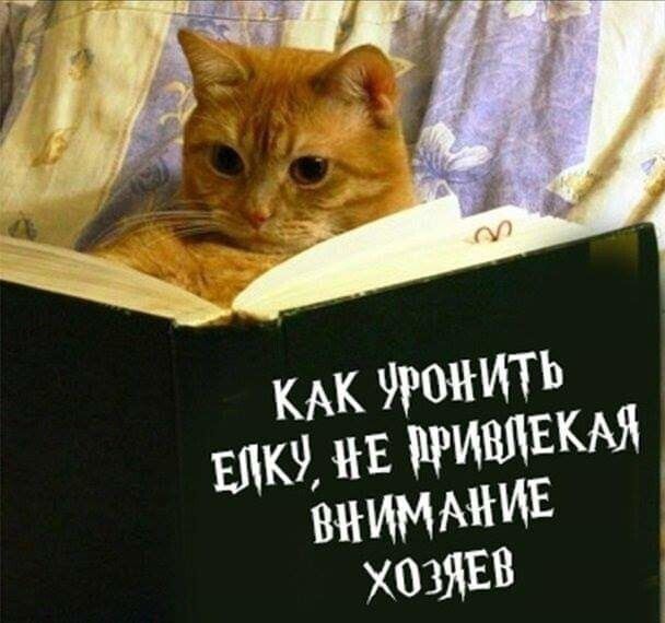 КАК Жить в 9 не ЪИМЕ ХОЗЯЕВ