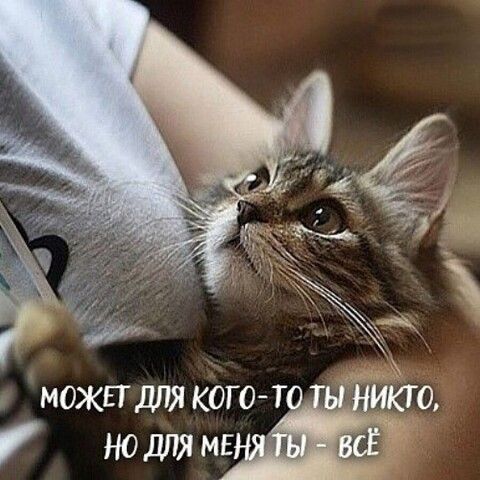 можвтдля когот кто ношямъ сЁж