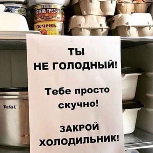 на голодный Тебе просто скучно ЗАКРОЙ холодипьии