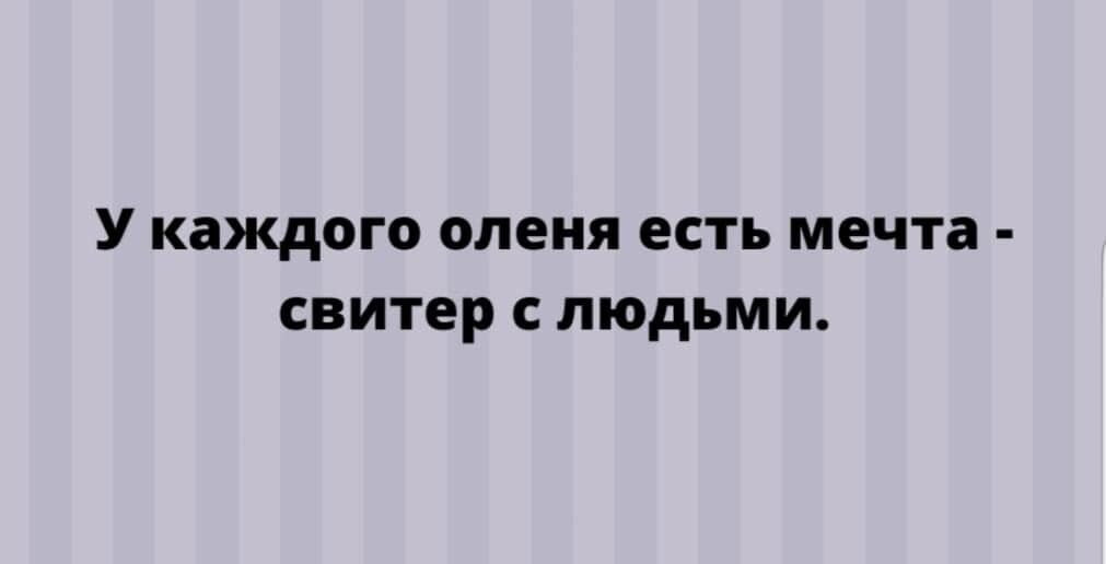 У каждого оленя есть МЕЧТЗ свитер С ЛЮДЬМИ