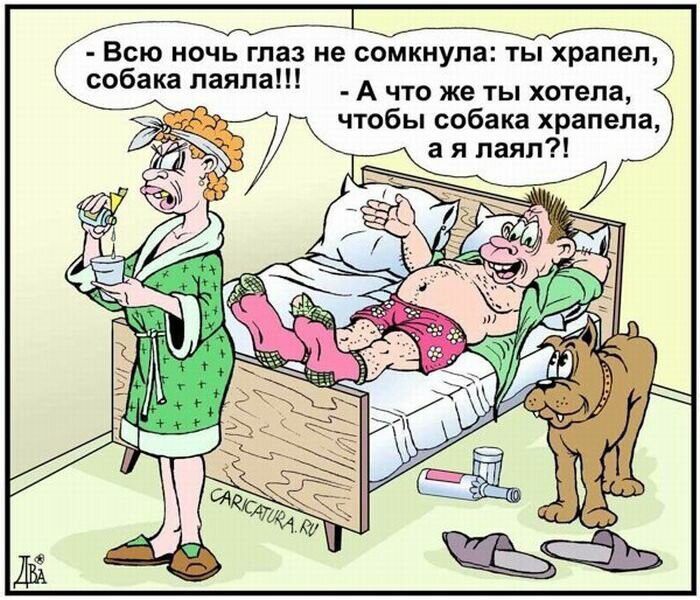 Всю ночь глаз на сомкиупа ты храпеп А чтз жв ты хотела тебы собака хрипела я паяц собака паяпаП