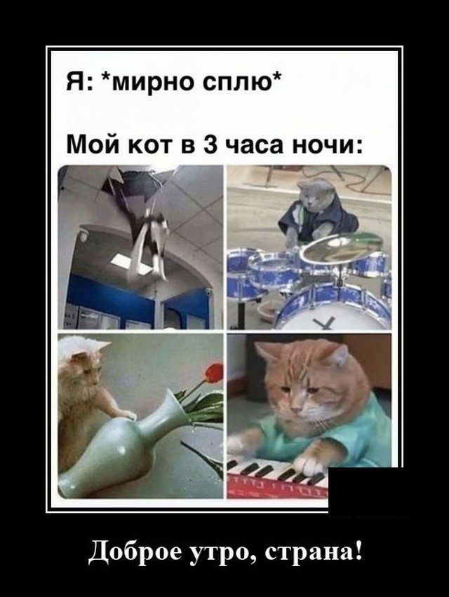 я мирно сплю Доброе утро страна