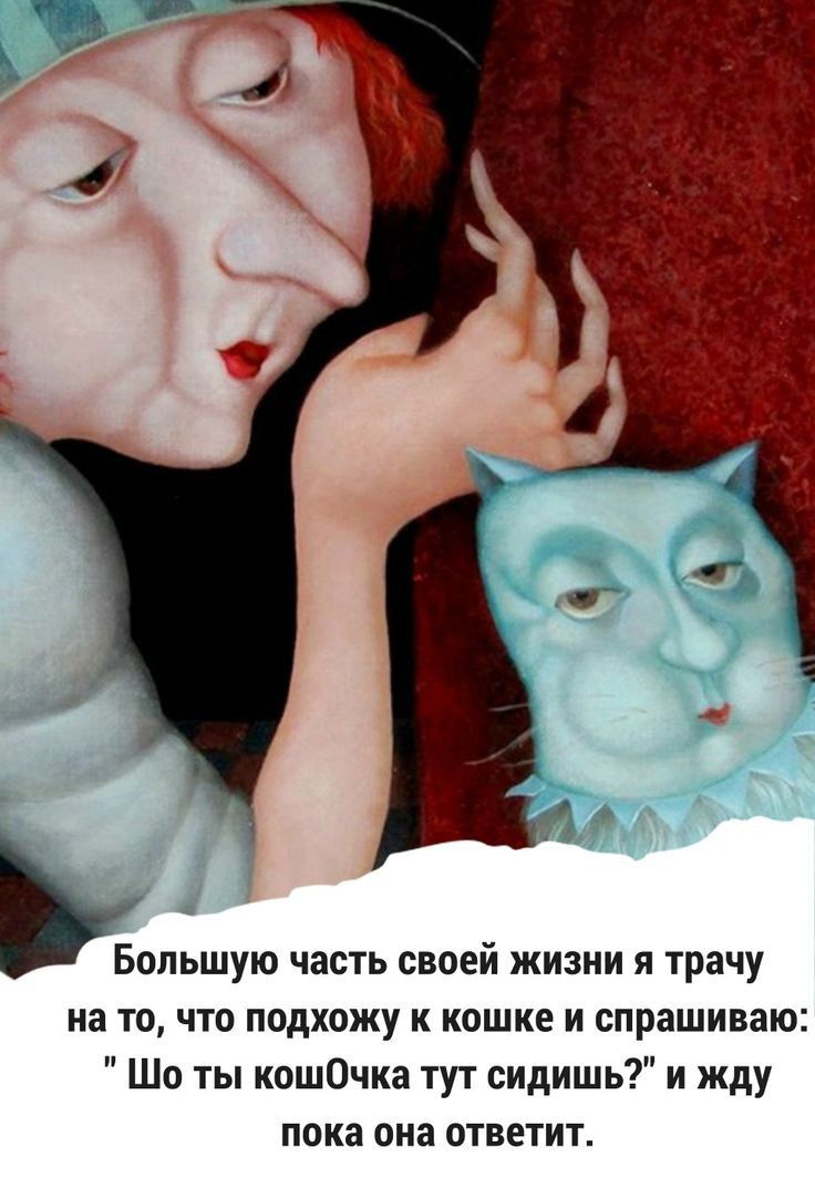 Большую часть своей жизни и трачу на то что подхожу к кошке и спрашиваю Шо ты кошОчка тут сидишь и жду пока она ответит