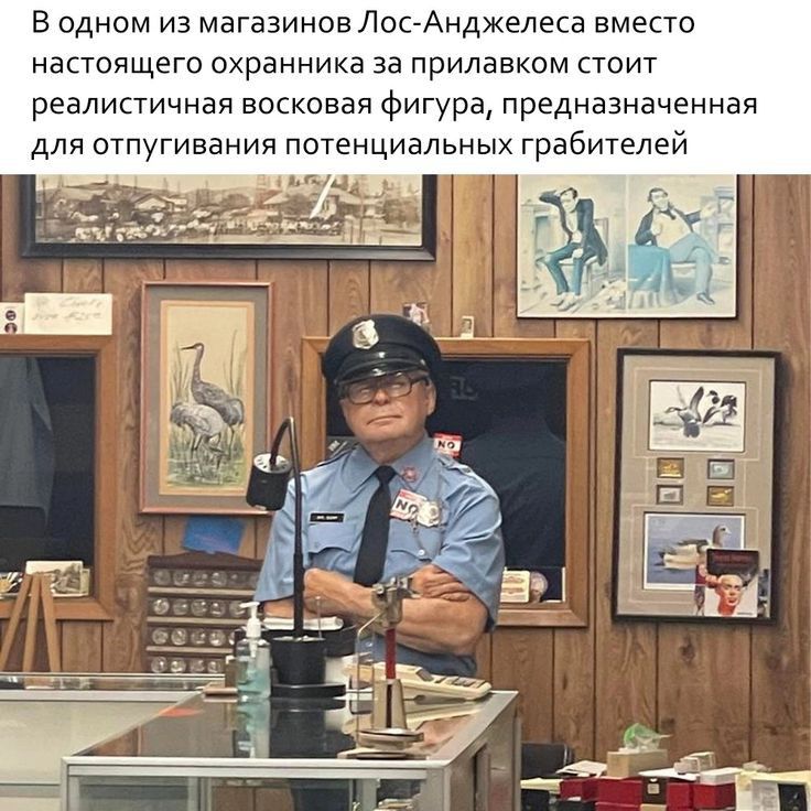 в одном из магазинов ЛосгАнджелеса вмепо настоящего охранника за прилавком стоит реалистичная восковая фигура предназначенная