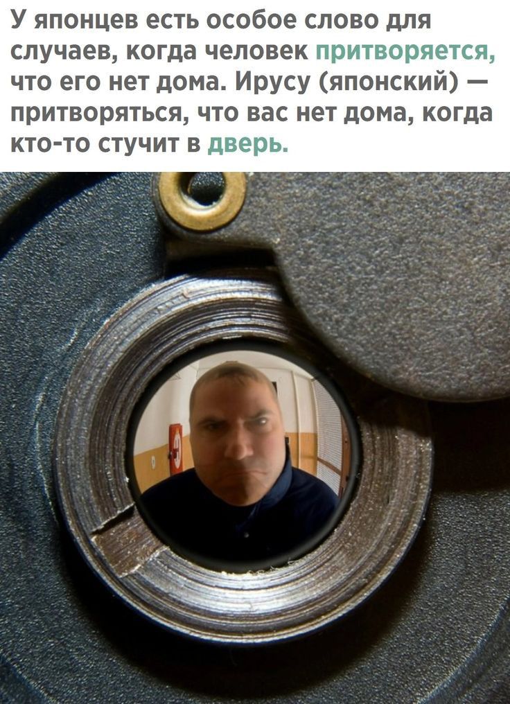 У японцев есть особое слово для случаев когда человек при что его нет дома Ирусу японский притворяться что вас нет дома когда КТО ТО СТУЧИТ В