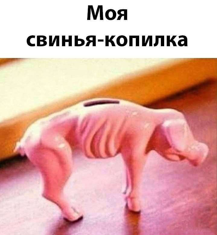 Моя свинья копилка р