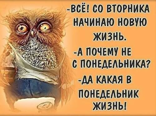 т С В _ Ш понедельник т