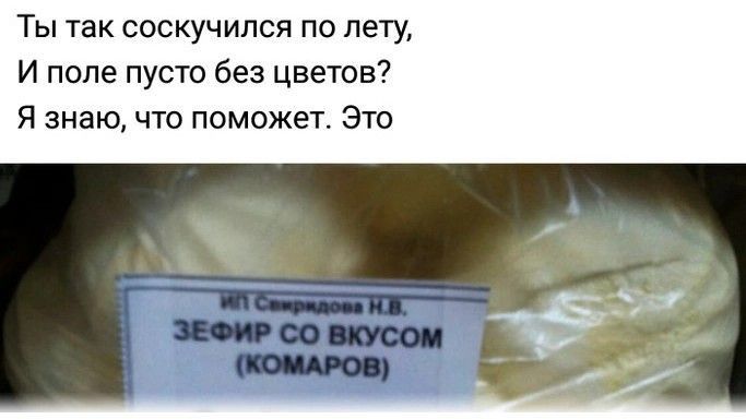 Ты так соскучился по лету И попе пусто без цветов Я знаю что поможет Это