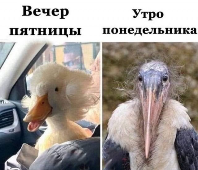 Вечер угро ПЯТНИЦЬ1 понедельника