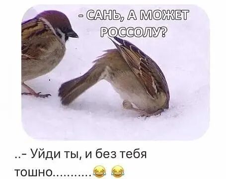 А ЖЁТ Уйди ты и без тебя тошно