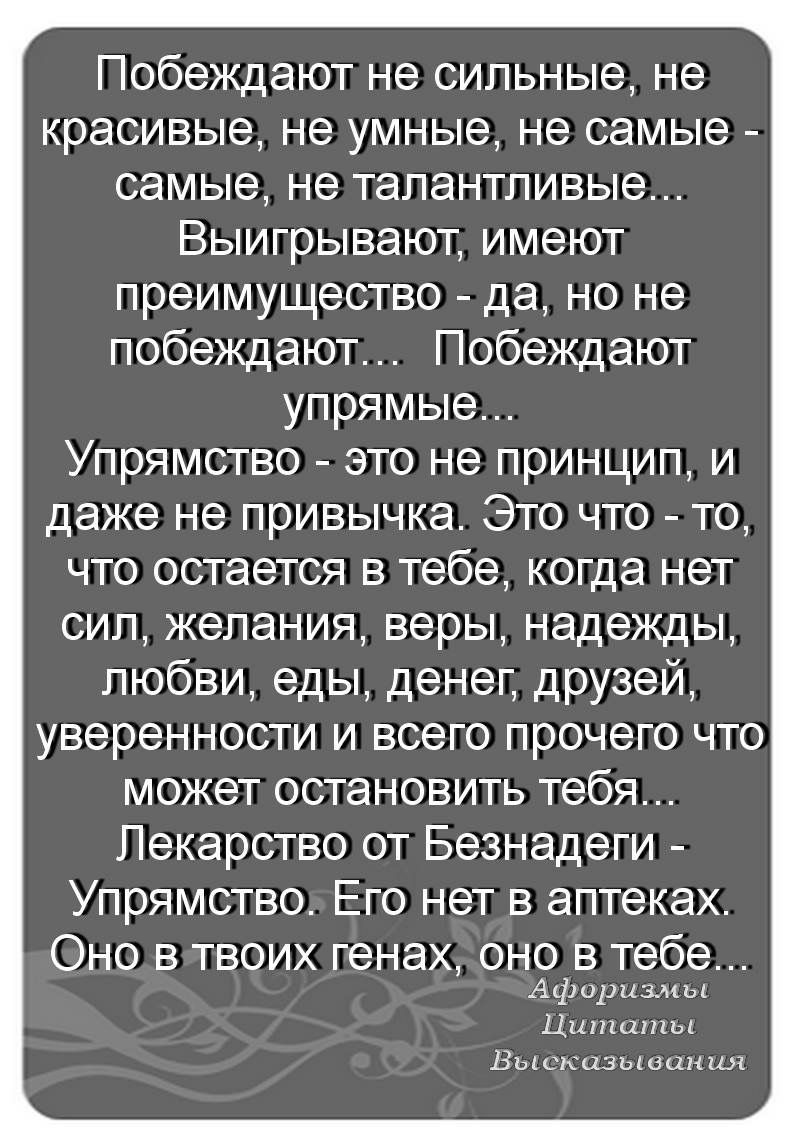 Побеждают не сильные не красивые не умные не самые самые не талантливые Выигрывают имеют преимущество да но не побеждают Побеждают упрямые Упрямство это не принцип и даже не привычка Это что то что остается в тебе когда нет сил желания веры надежды любви еды денег друзей уверенности и всего прочего что может остановить тебя Лекарство от Безнадеги Упрямство Его нет в аптеках Оно в твоих генах оно в