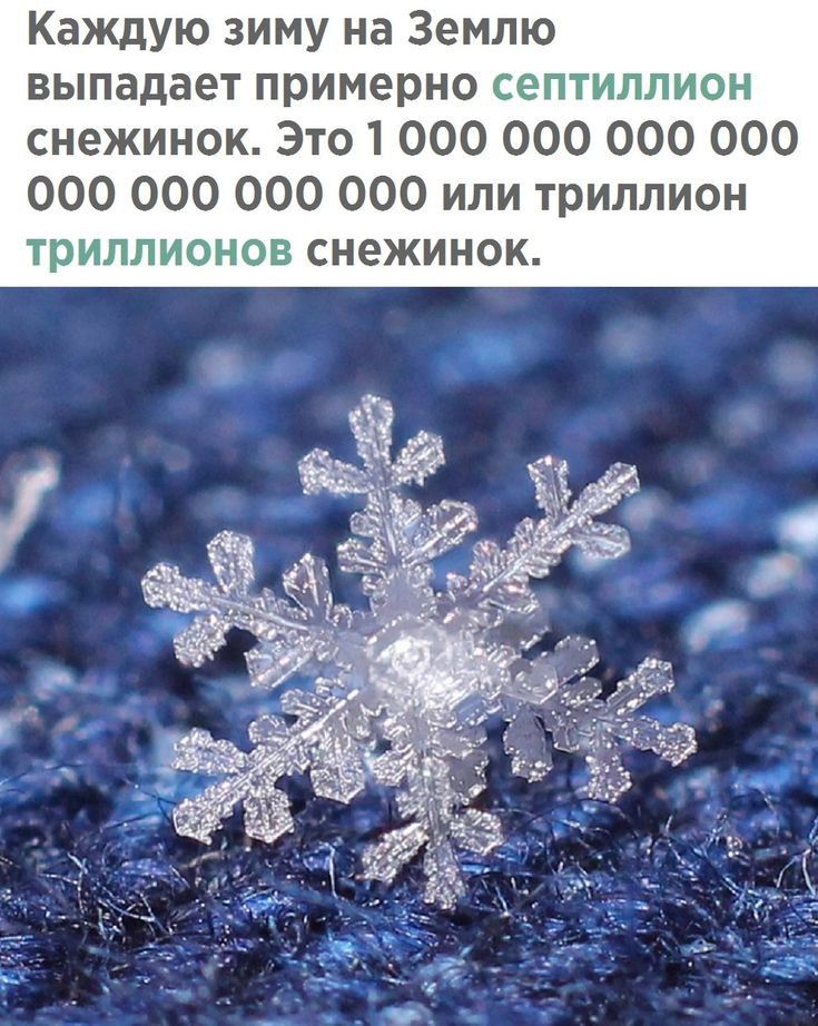 Каждую зиму на Землю выпадает примерно снежинок Это1 000 000 000 000 000 000 000 000 или триллион снежинок