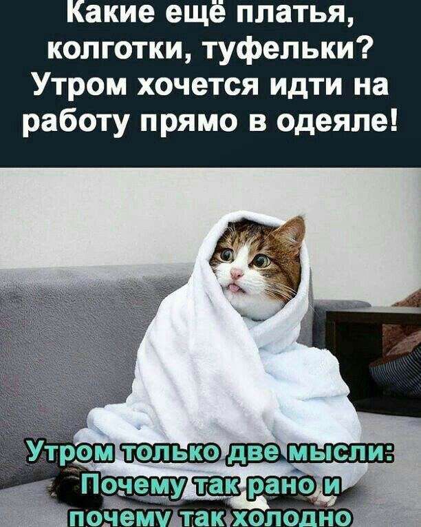 акие ещ платья колготки туфельки Утром хочется идти на работу прямо в одеяле ТОЛЬКО две МЫСЛИ Утром