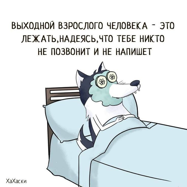 ВЫХОДНОЙ ВЗРОСЛОГО ЧЕЛОВЕКА ЭТО ЛЕХАТЬНАДЕЯСЬЧТ0 ТЕБЕ НИКТО НЕ ПОЗВОНИТ И НЕ НАПИШЕТ ХаХаски