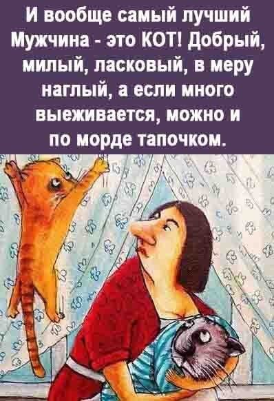 И вообще самый лучший Мужчина это КОТ добрый милый ласковый в меру наглый а если много выехивается можно и по морде тапочком