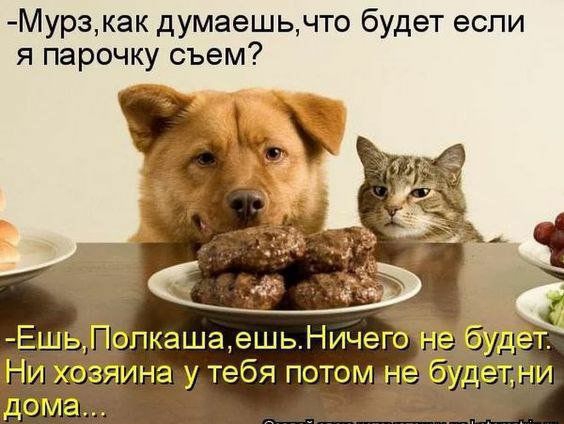 Мурзкак думаешьчто будет если я парочку съем Ни Чина у тебя потом не домг