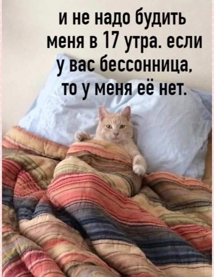 и не надо будить меня в 17 утра если у вас бессонница то у меня её нет