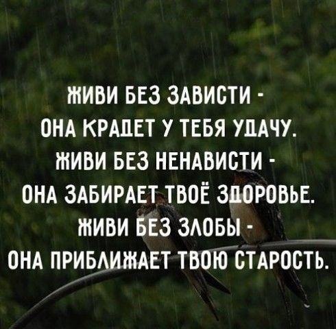 тиви вез зАвисти онд КРАЦЕТ у тпвя шчу тиви вез нвндвисти онд здвирдвт твоё здоровье тиви вёз здовы __ онд привышает твпЮстАрость
