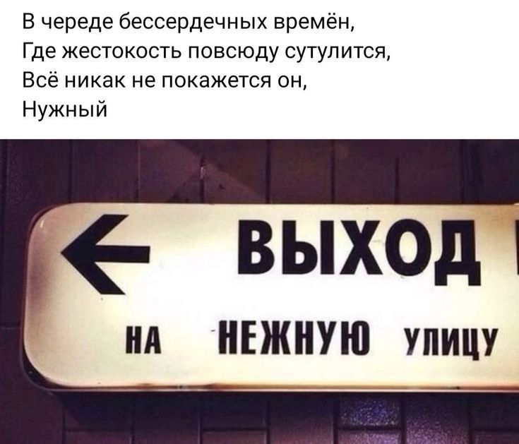 В череде бессердечных времён Где жестокость повсюду сутулится Всё никак не покажется он Нужный 6 выход ил НЕЖНУЮ упицу