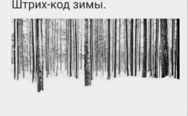 ПМА