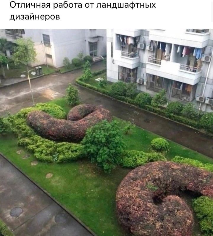 Отличная работа от ландшафтных дизайнеров
