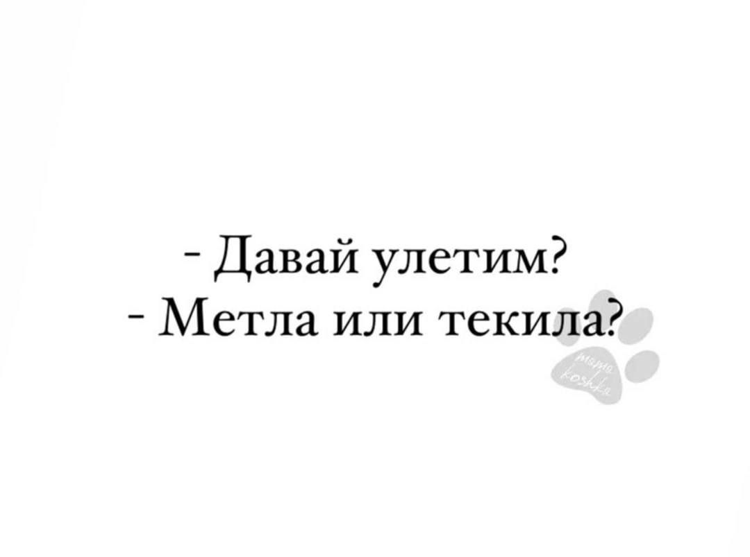 Картинка давай улетим самолет или коньяк