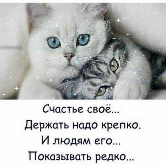 Счастье своё Держать надо крепко И людям его Показывать редко