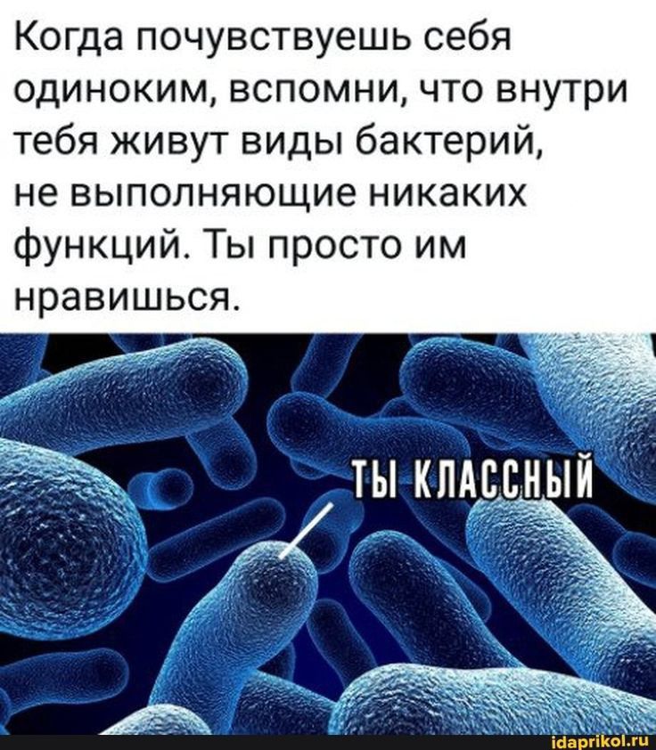 Когда почувствуешь себя одиноким вспомни что внутри тебя живут виды бактерий не выполняющие никаких функций Ты просто им нравишься ТЫ КЛАССНЫЙ