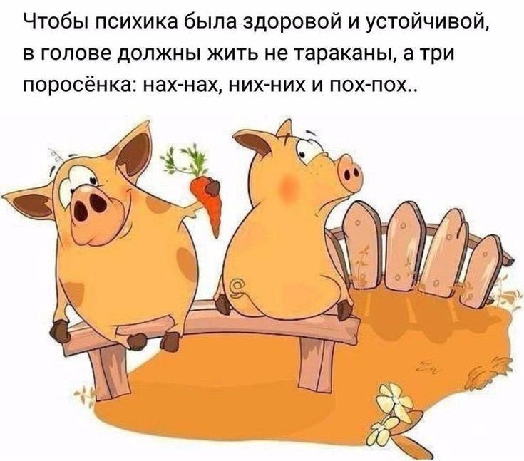 Чтобы психика была здоровой и устойчивой в голове должны жить не тараканы а три поросёнка нах нах них них и пох пох