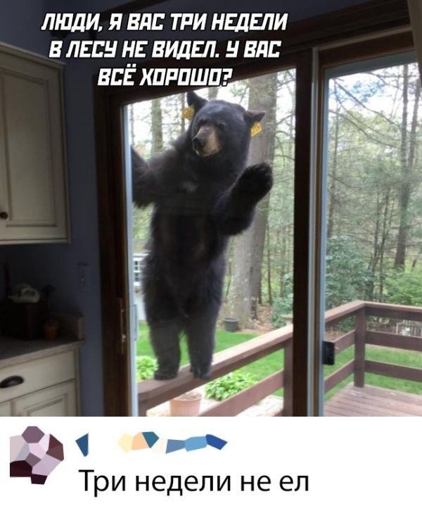 люди я вл три надели иль пн не видел 5 кл всЁ хпппшпг 1 Три недели не ел