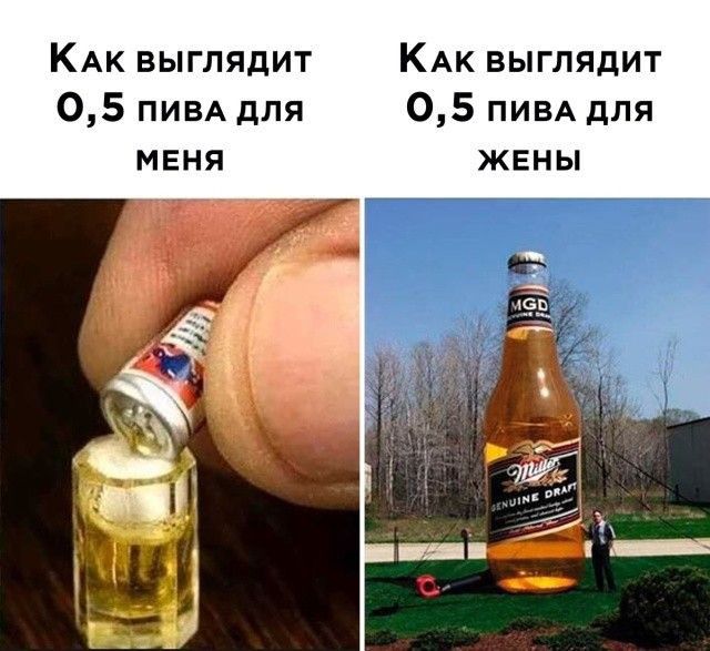 КАк выглядит КАК выглядит 05 ПИВА для 05 ним для МЕНЯ ЖЕНЫ