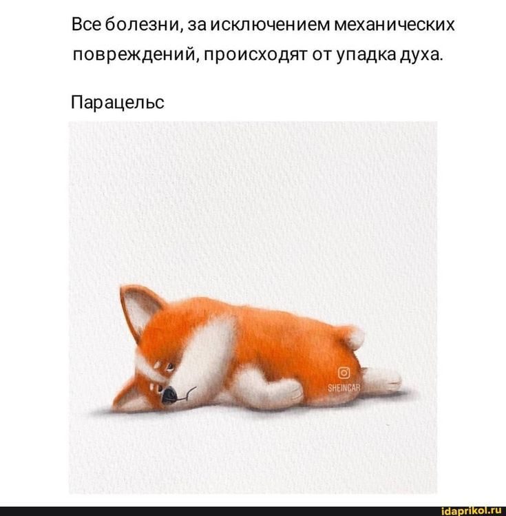 Все болезни за исключением механических повреждений происходят от упадка духа Парацельс