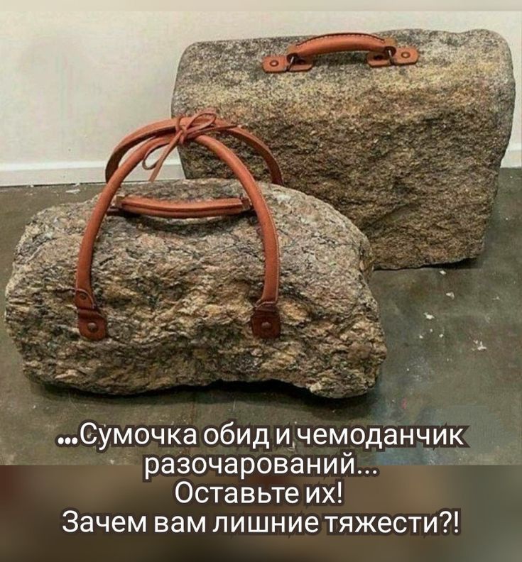 Сумочка обид ичемоданч_ик разочарований Оставьтеих Зачем вам пишниетяжести